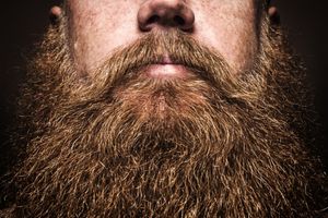 Body Part Name of Beard