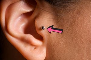 Body Part Name of Ear Tragus