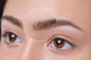 Body Part Name of Eyebrows