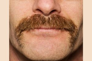 Body Part Name of Mustache