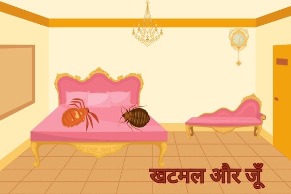 खटमल और जूँ – Khatmanl Aur Jun